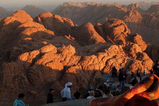 Sharm El Sheik: Mount Sinai Sunrise & St.Catherines Monastery  - Sharm El Sheikh - Additional Information