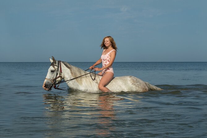 Sharm El-Sheikh: 1 Hour Horse Riding on the Sea W/Transfer - Good To Know