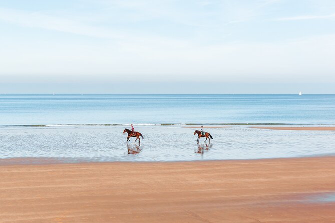 Sharm El-Sheikh: 1 Hour Horse Riding on the Sea W/Transfer - Included Activities and Options