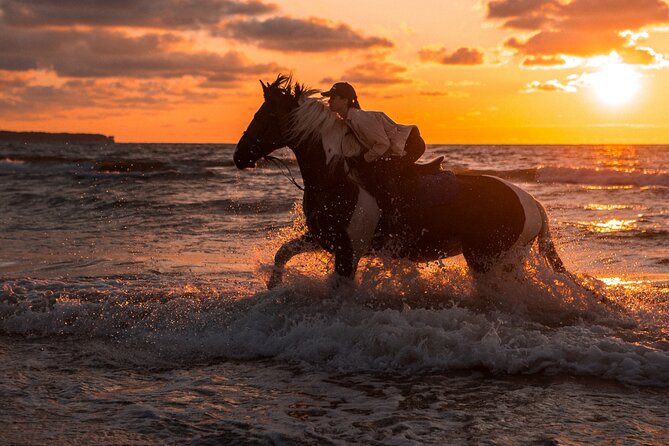 Sharm El-Sheikh: 1 Hour Horse Riding on the Sea W/Transfer - Reservation Process