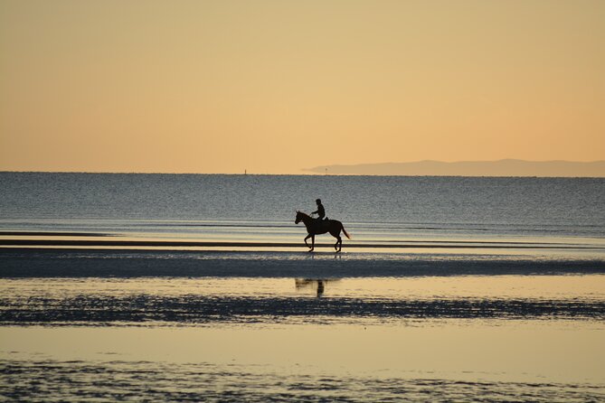 Sharm El-Sheikh: 1 Hour Horse Riding on the Sea W/Transfer - Cancellation Policy