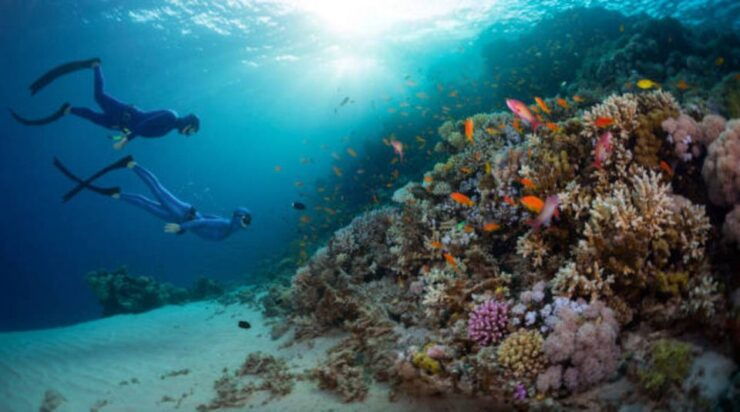 Sharm El Sheikh: 4-Day PADI Open Water Diver Course - Course Overview