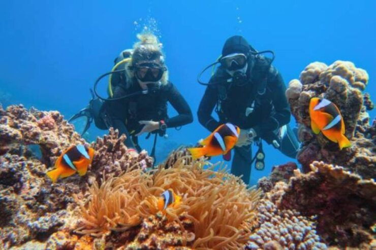 Sharm El Sheikh: 4-Day PADI Open Water Diver Course - Certification Process