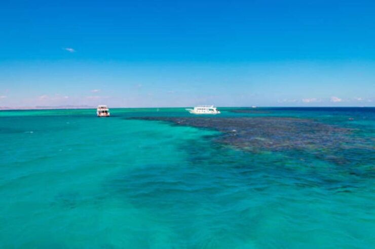 Sharm El Sheikh: ATV Desert Trip With Paragliding and Lunch - Experience Highlights