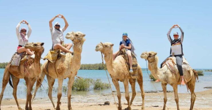 Sharm El Sheikh: ATV Quad Bikes Along the Sea & Mountains - Highlights of the Tour