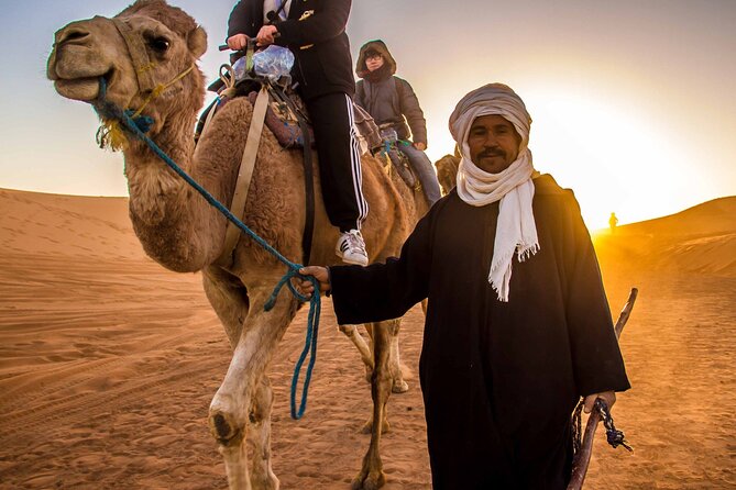 Sharm El Sheikh Bedouin Dinner and Camel Ride: Desert Serenity - Price Information