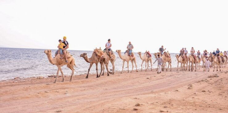Sharm El Sheikh Camel Riding Safari Tour - Tour Details