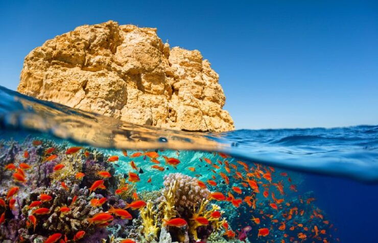 Sharm El Sheikh: Colored Canyon, Blue Hole & Dahab Day Trip - Booking Details