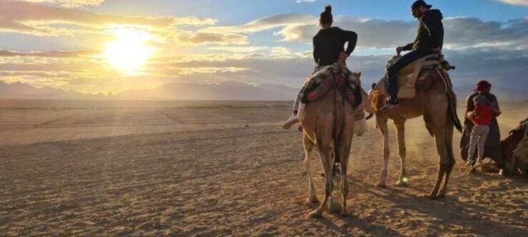 Sharm El Sheikh: Desert Stargazing Adventure With BBQ Dinner - Reservation Information