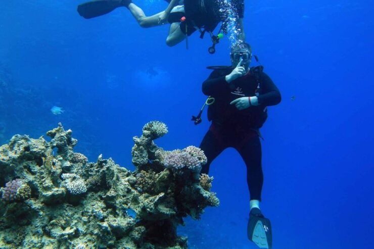 Sharm El Sheikh: Diving Day Trip by Boat at Ras Mohamed - Activity Details