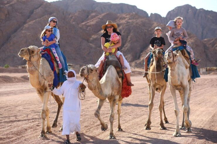 Sharm El Sheikh: Dune Buggy, Horse & Camel Ride W Breakfast - Activity Highlights