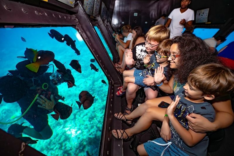 Sharm El Sheikh Half-Day Semi-Submarine Tour with Transfers - Key points to know before you go