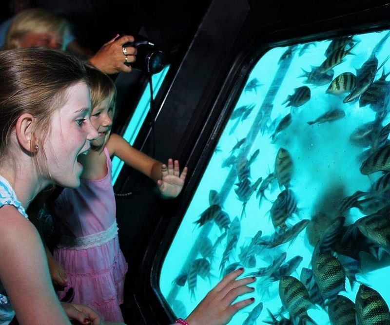 Sharm El Sheikh Half-Day Semi-Submarine Tour with Transfers - A short Red Sea outing, not a full-day cruise