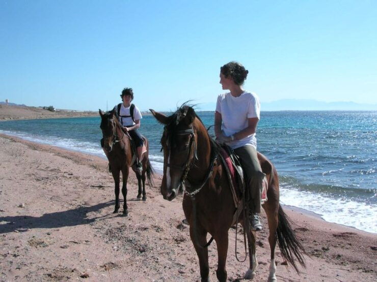 Sharm El Sheikh: Horse Ride Along the Coast With Transfers - Booking Information