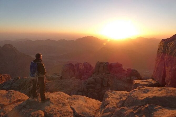 Sharm-El-Sheikh: Mount Sinai Hike & Dahab Private Tour - Price and Payment Options