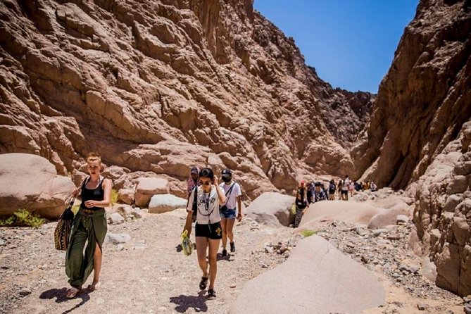 Sharm-El-Sheikh: Mount Sinai Hike & Dahab Private Tour - Booking Considerations