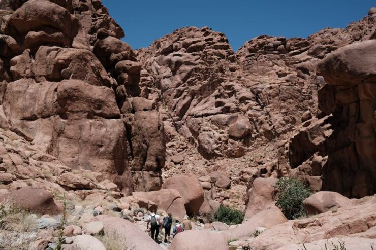 Sharm El Sheikh: Mount Sinai & St. Catherine's Monastery - Experience Highlights
