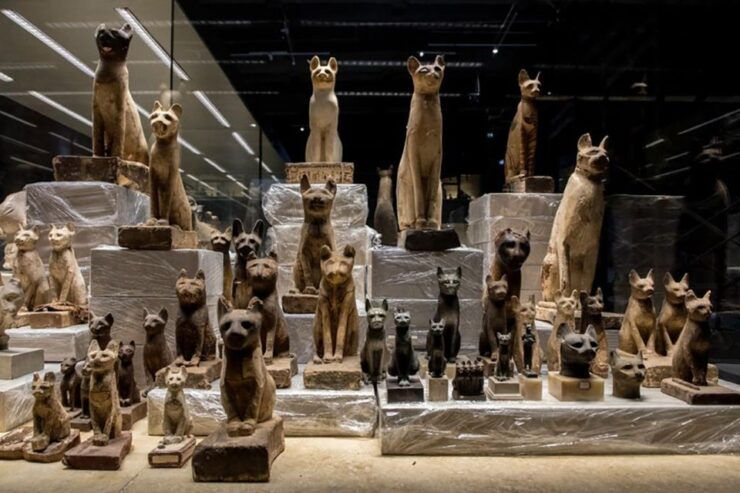 Sharm El-Sheikh Museum Entry Ticket & Private Hotel Transfer - Experience Highlights