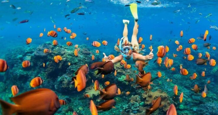 Sharm El-Sheikh Port to Ras Mohamed National Park by Car - Activity Details