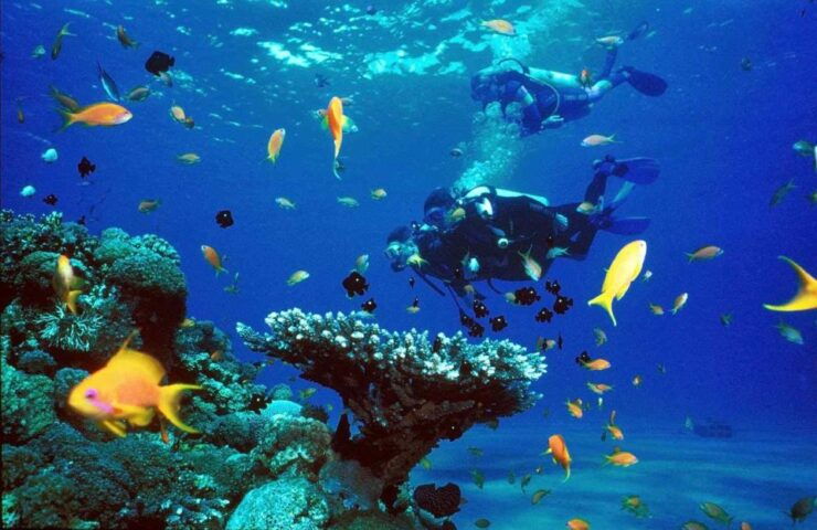 Sharm El-Sheikh Port to Ras Mohamed National Park by Car - Experience Highlights