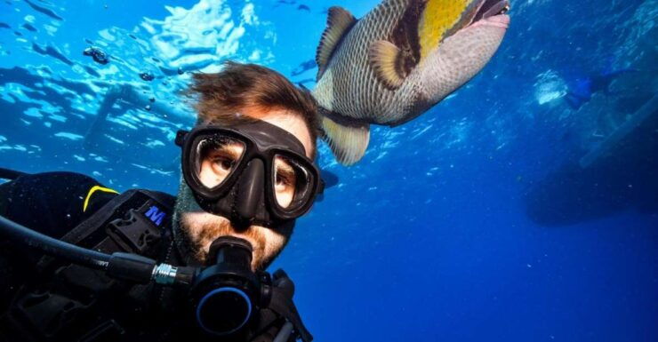 Sharm El Sheikh: Ras Mohamed, White Island, Snorkel & Diving - Activity Details