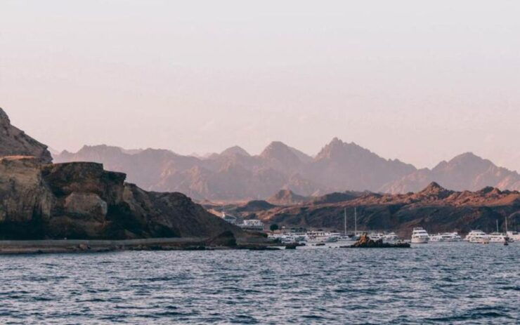 Sharm El Sheikh: Red Sea Cruise W/ Seafood Dinner & Transfer - Experience Highlights