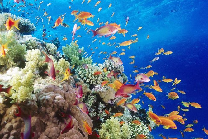 Sharm El Sheikh Relax Accommodation 8 Days - 7 Nights - Pricing Details