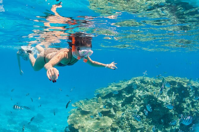 Sharm El Sheikh Snorkeling Trip at Ras Mohammed - Booking Confirmation Details