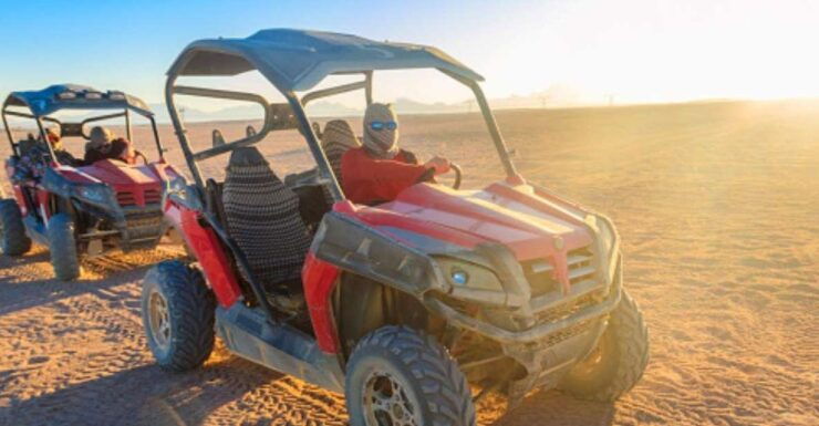 Sharm El Sheikh: Sunrise Buggy Adventure and Bedouin Tent - Duration, Booking, and Availability