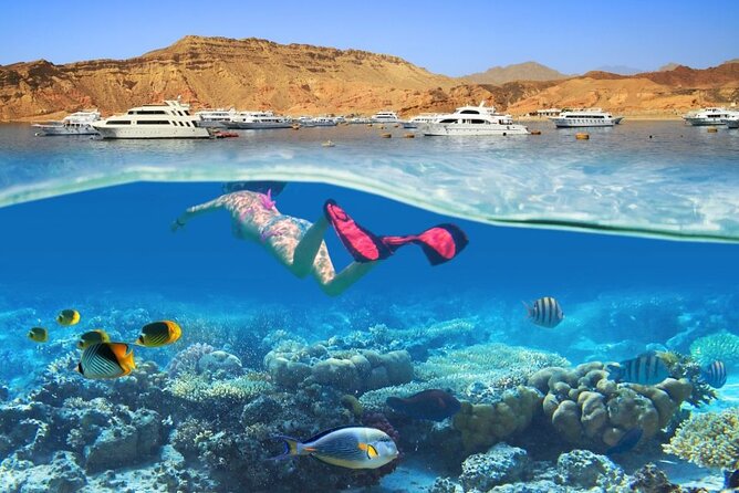 Sharm El Sheikh White Island & Ras Mohammed National Park - National Park Admission & Pricing