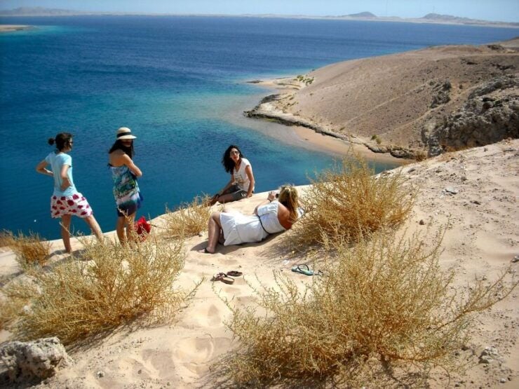 Sharm El-Sheikh: White Island & Ras Mohammed Snorkel Trip - Experience Highlights