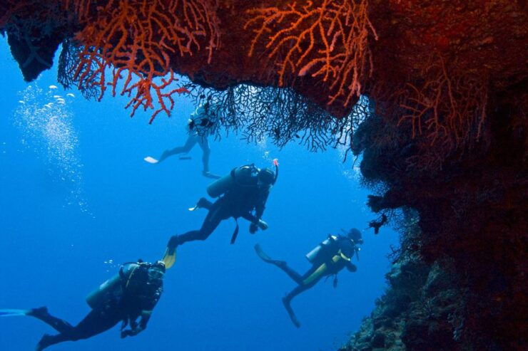 Sharm El-Sheikh: White Island & Ras Mohammed Snorkel Trip - Experience Highlights