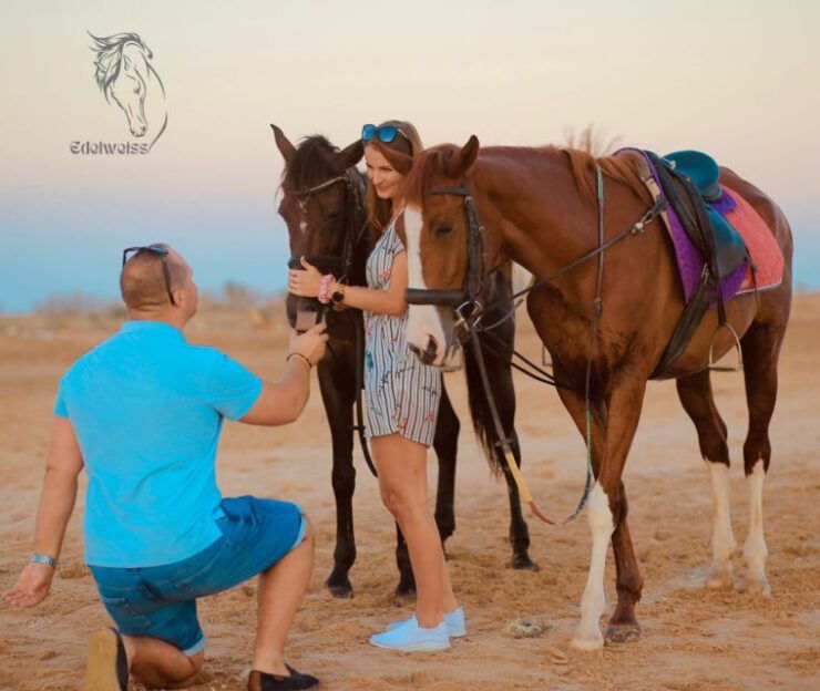 Sharm El Shiekh: Beach and Desert Horse Riding Tour - Booking Details