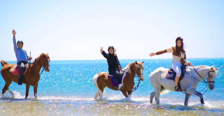 Sharm El Shiekh: Beach and Desert Horse Riding Tour - Experience