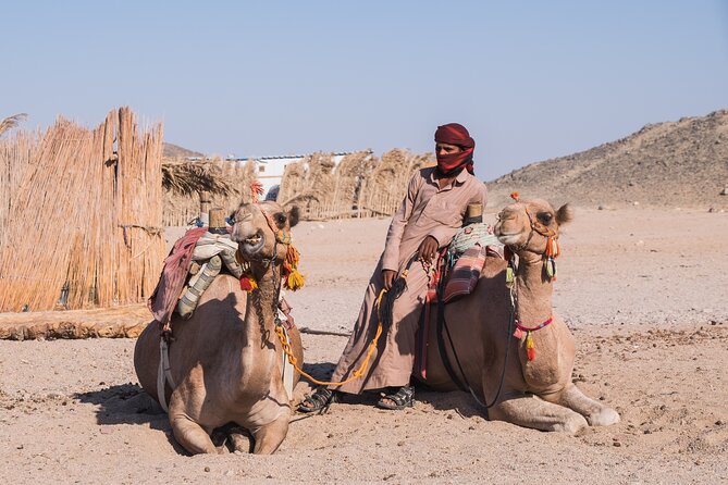 Sharm El Shiekh Quad Biking With Camel Ride & Beduin Dinner in Egypt - Additional Information