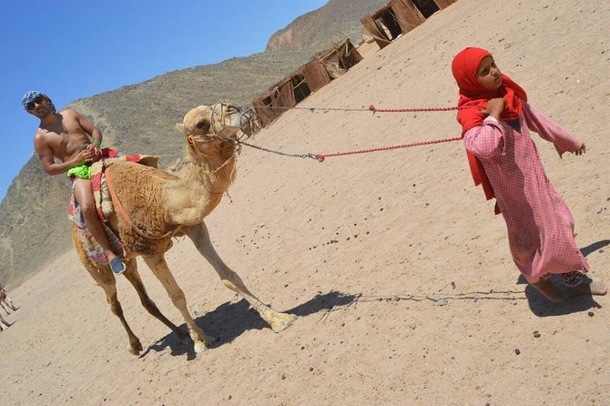 Sharm Trip: Sunset Quad Bike Safari and Bedouin Dinner - Experience Details