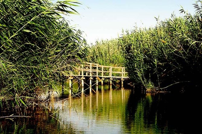 Shaumari Reserve and Azraq Wetland Private Full Day Tour From Amman - Inclusions and Services Provided
