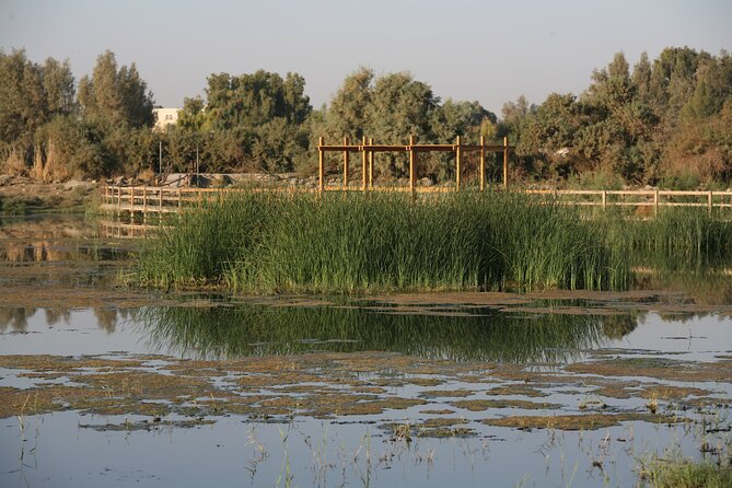 Shaumari Reserve and Azraq Wetland Private Full Day Tour From Amman - Important Information for Participants