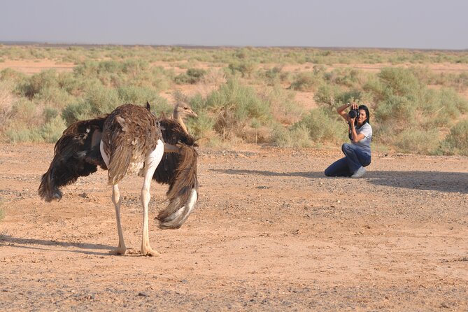 Shaumari Reserve and Azraq Wetland Private Full Day Tour From Amman - Frequently Asked Questions