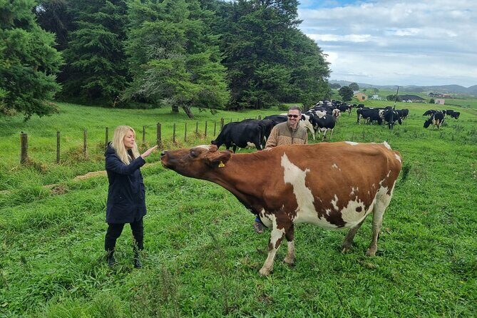 Sheep & Beef Working Farm Private Tour - Discover the True Heart of New Zealand Farming with the Sheep & Beef Working Farm Private Tour