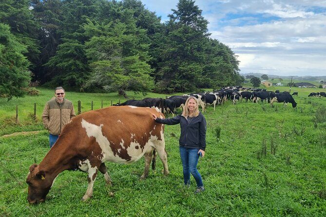 Sheep & Beef Working Farm Private Tour - What Travelers Can Expect from the Experience