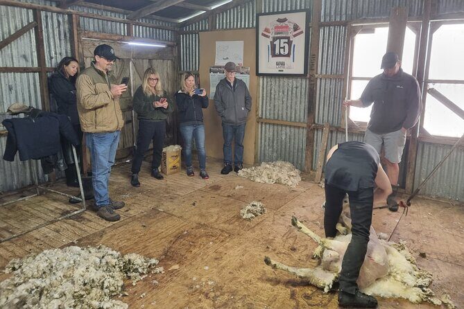 Sheep & Beef Working Farm Private Tour - Who Will Love This Tour?
