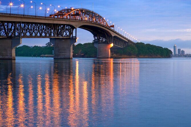 Sheep Shearing and Auckland City Highlights Tour with Lunch - Highlights and Practicalities: Why This Tour Works