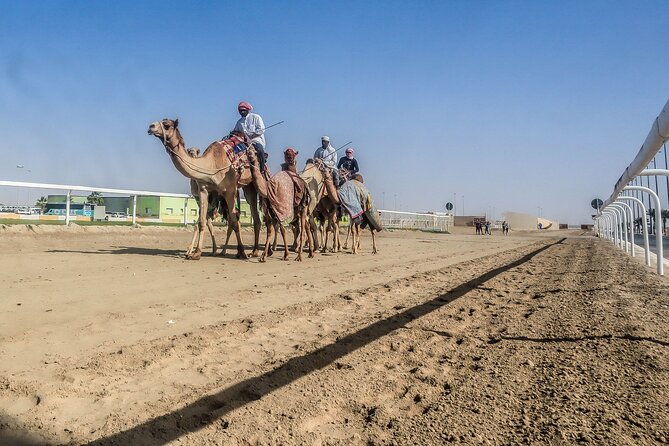 Sheikh Faisal, Camel Race Track Visit - Meeting and Pickup Details