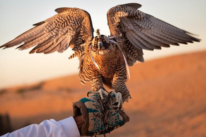 Sheikh Zayed Mosque and Falcon Hospital Tour in Abu Dhabi - Tour Highlights