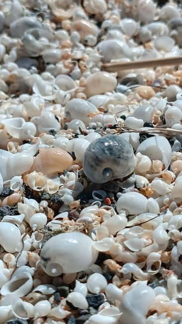 Shell beach Turtle head and Kok-Moinok canyons - Good To Know