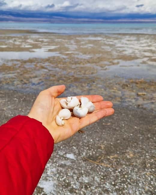 Shell beach Turtle head and Kok-Moinok canyons - Who Is This Tour Best For?