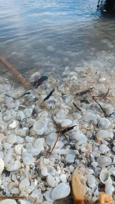 Shell beach Turtle head and Kok-Moinok canyons - Final Thoughts