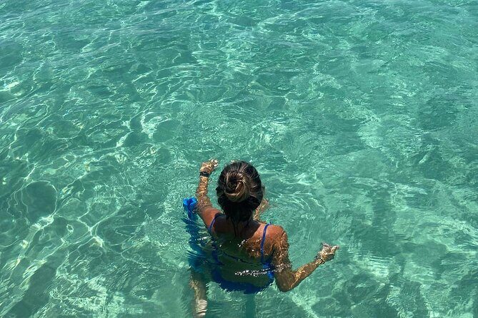 Shell Island Dolphin and Snorkel Boat Tour - Pros and Cons at a Glance