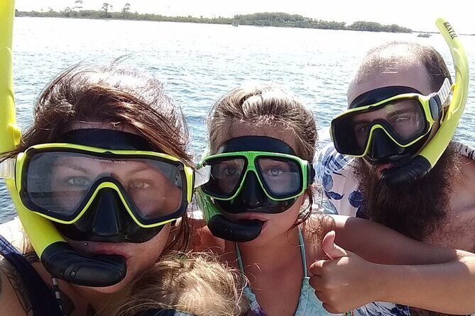 Shell Island Dolphin and Snorkel Boat Tour - Who Is This Tour Best For?